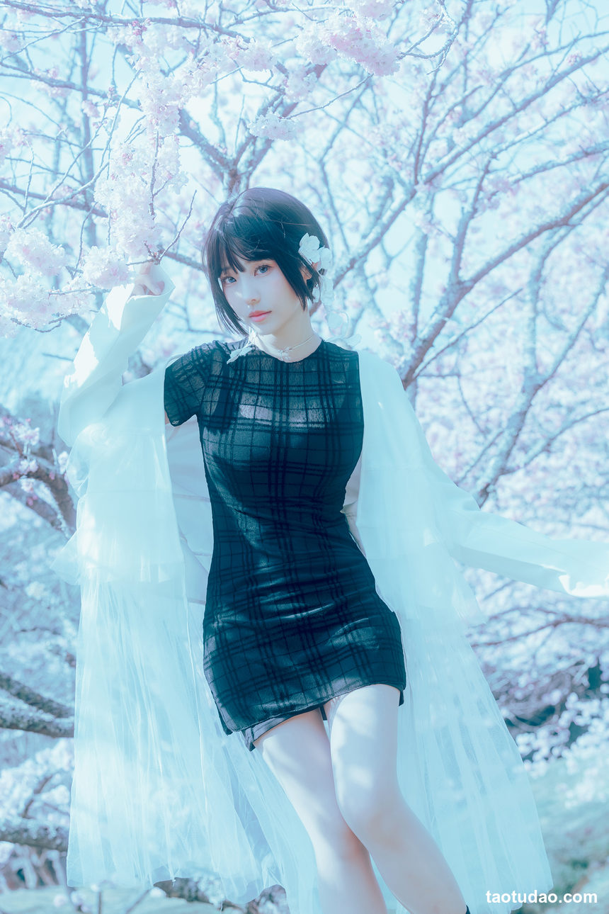 图片[2]-[Elyee]2024 3-5 月 Tier3 合集[247P-899M]-绅士图