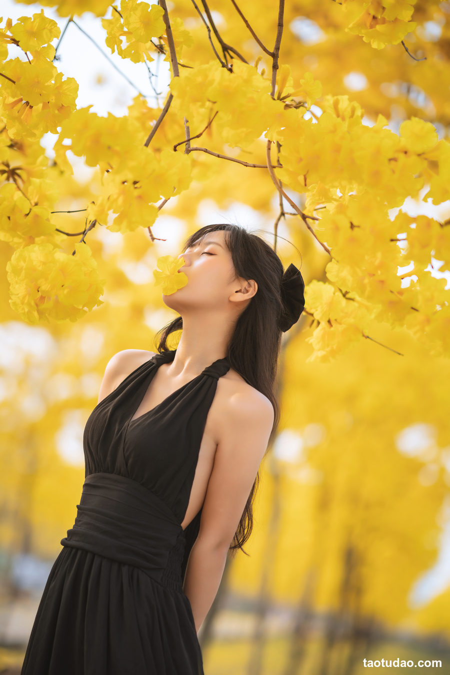 图片[2]-[YITUYU艺图语]2023.02.14 秋有银杏 春有黄风铃 萌芽儿o0[24+1P／342MB]-绅士图