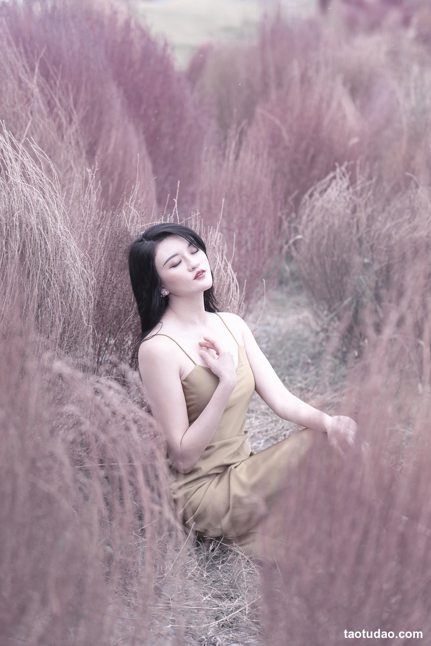 图片[4]-[YITUYU艺图语]2022.11.13 紫色烟花 翠花儿[27+1P／597MB]-绅士图