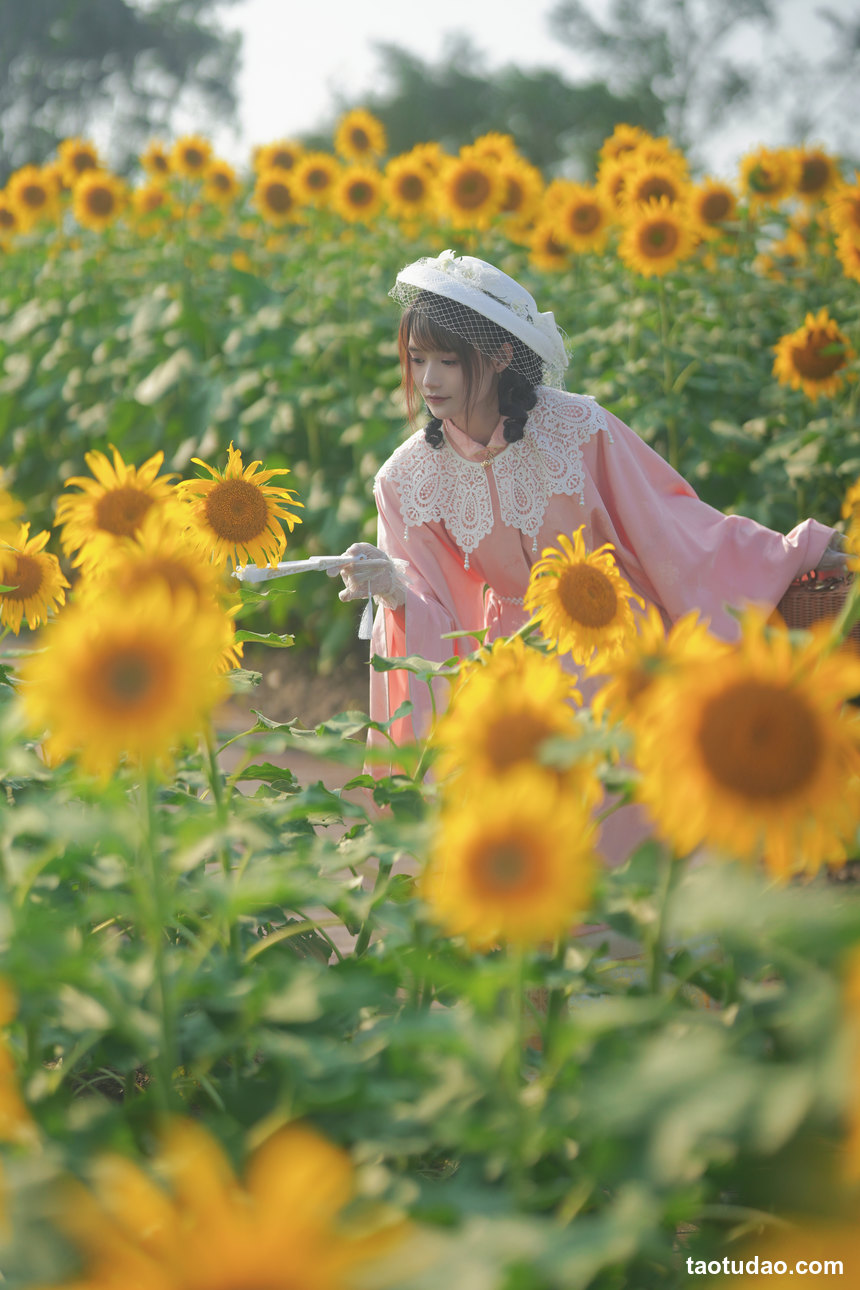 图片[4]-兔子Zzz不吃胡萝卜 – NO.123 向日葵的回忆 [22P-288MB]-绅士图