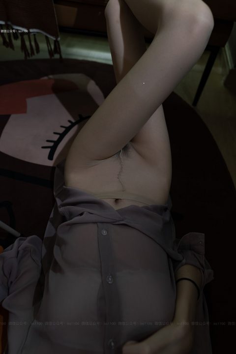 图片[5]-ISS系列 – 全套极品无内丝含配套视频（自动更新）-绅士图