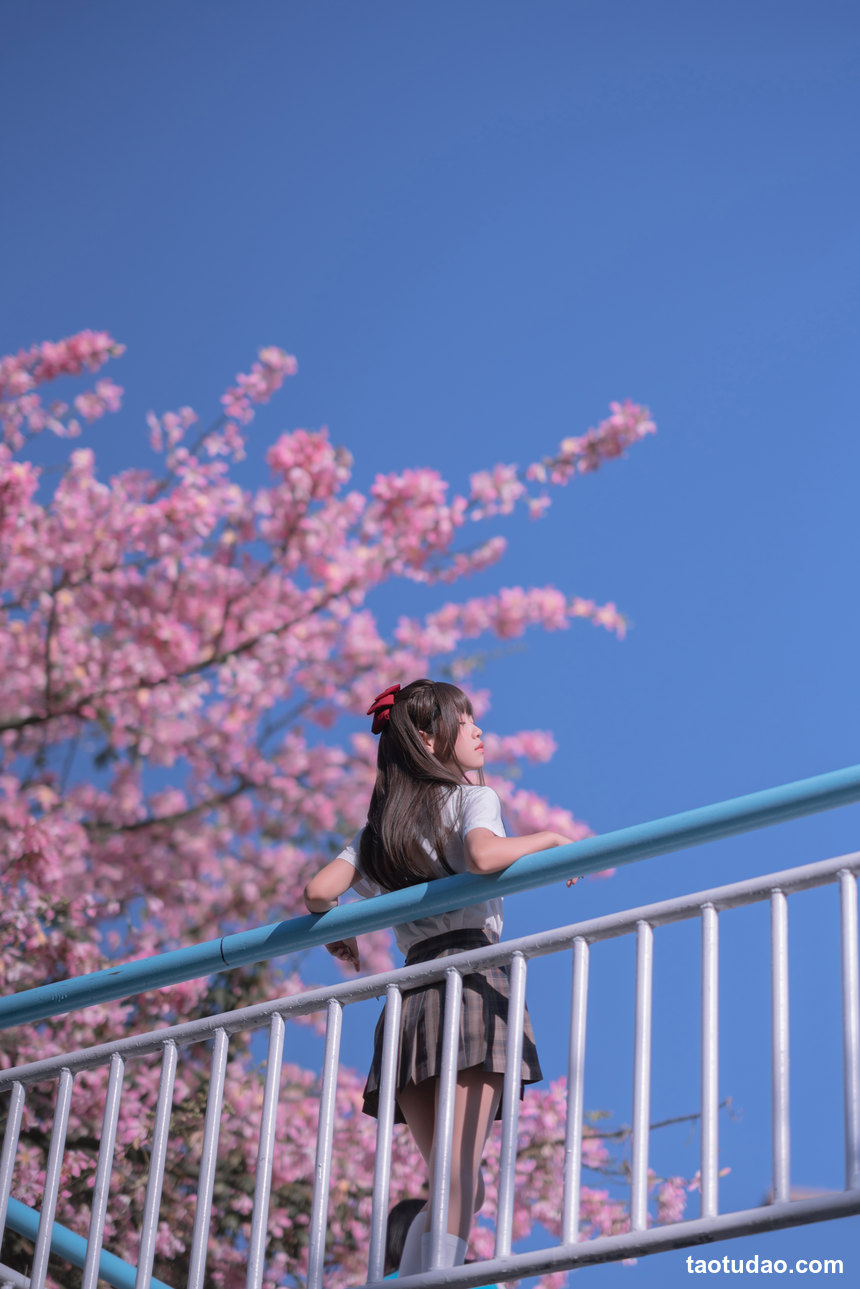 图片[3]-萌芽儿 –  异木棉花 [27P-436MB]-绅士图