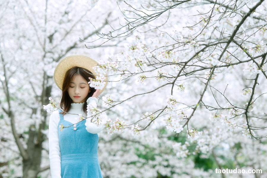 图片[2]-[YITUYU艺图语]2023.04.08 樱花物语 钰儿[31+1P／320MB]-绅士图