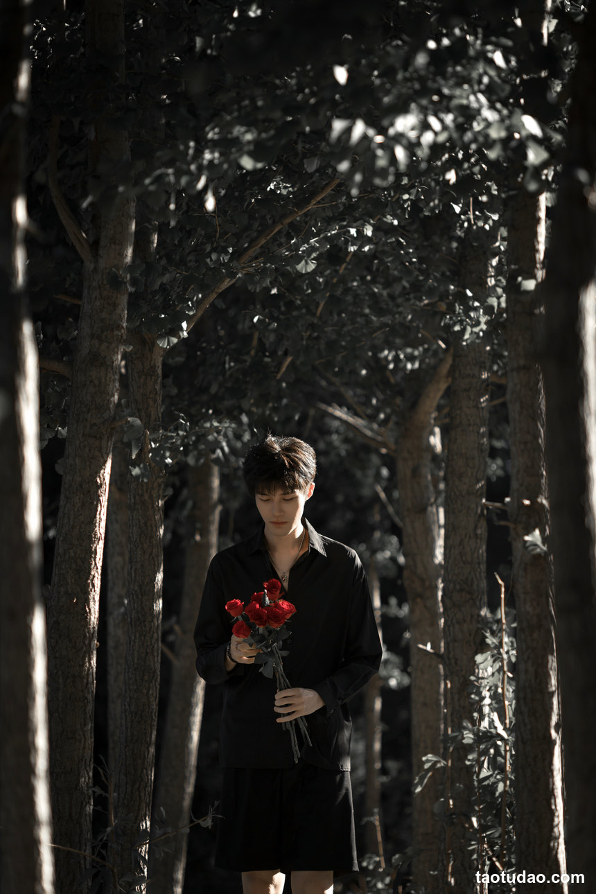 图片[2]-[YITUYU艺图语]2022.11.01 玫瑰少年 丁丁不刷牙[24+1P／235MB]-绅士图