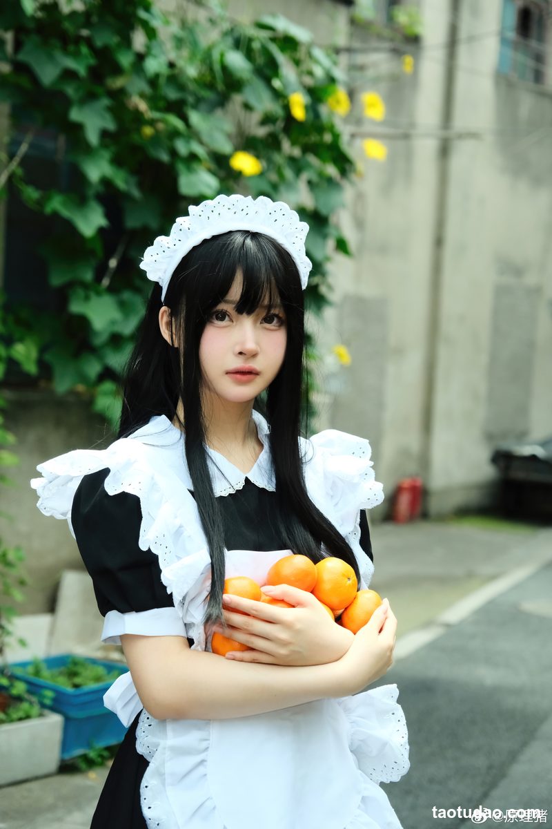 图片[2]-白莉爱吃巧克力 – 原理猪 深巷女仆 [11P-487MB]-绅士图