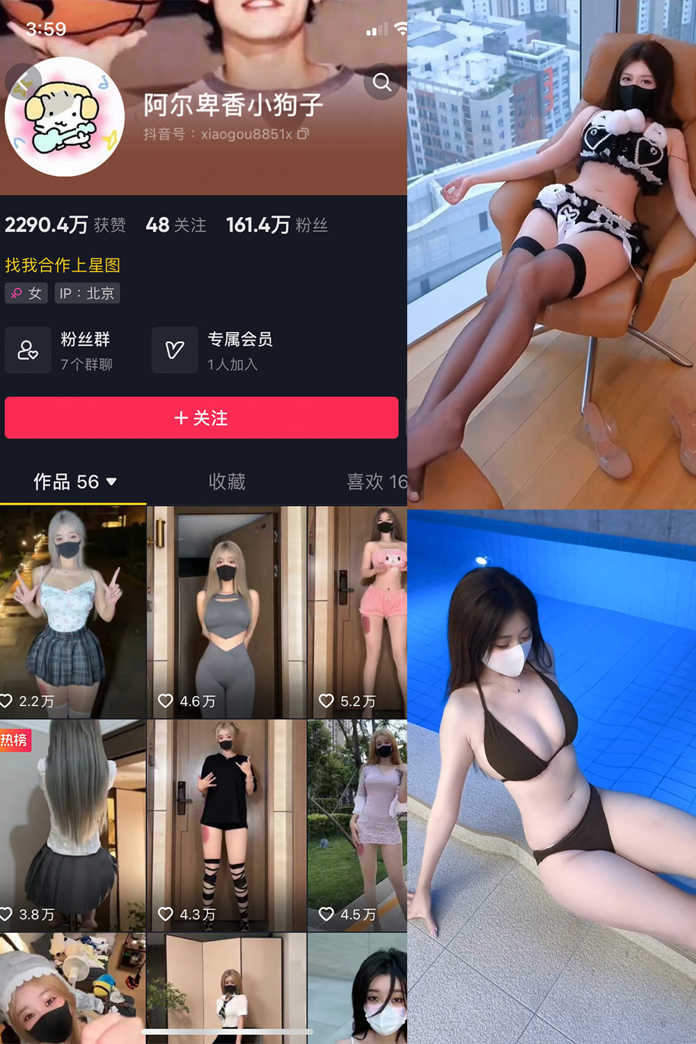 抖音 阿尔卑香小狗子 微密圈  NO.062期 【8V】最新至：2025.5.22-绅士图