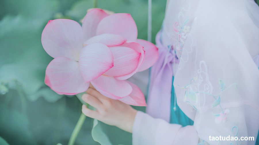 图片[4]-[YITUYU艺图语]2023.05.02 苏幕遮 绮罗生的小苏苏[20+1P／47MB]-绅士图