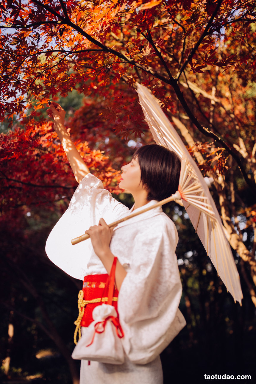 图片[2]-[YITUYU艺图语]2022.02.07 枫 君洳[46+1P／457MB]-绅士图