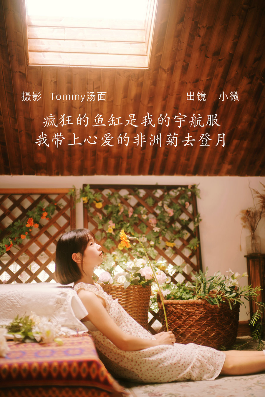 / YITUYU /艺图语 2022.08.06 疯狂的鱼缸是我的宇航服，我带上心爱的非洲菊去... 机构-艺库