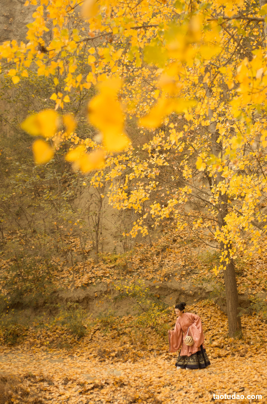 图片[2]-[YITUYU艺图语]2022.05.05 秋意浓 清沅斋[19+1P／231MB]-绅士图