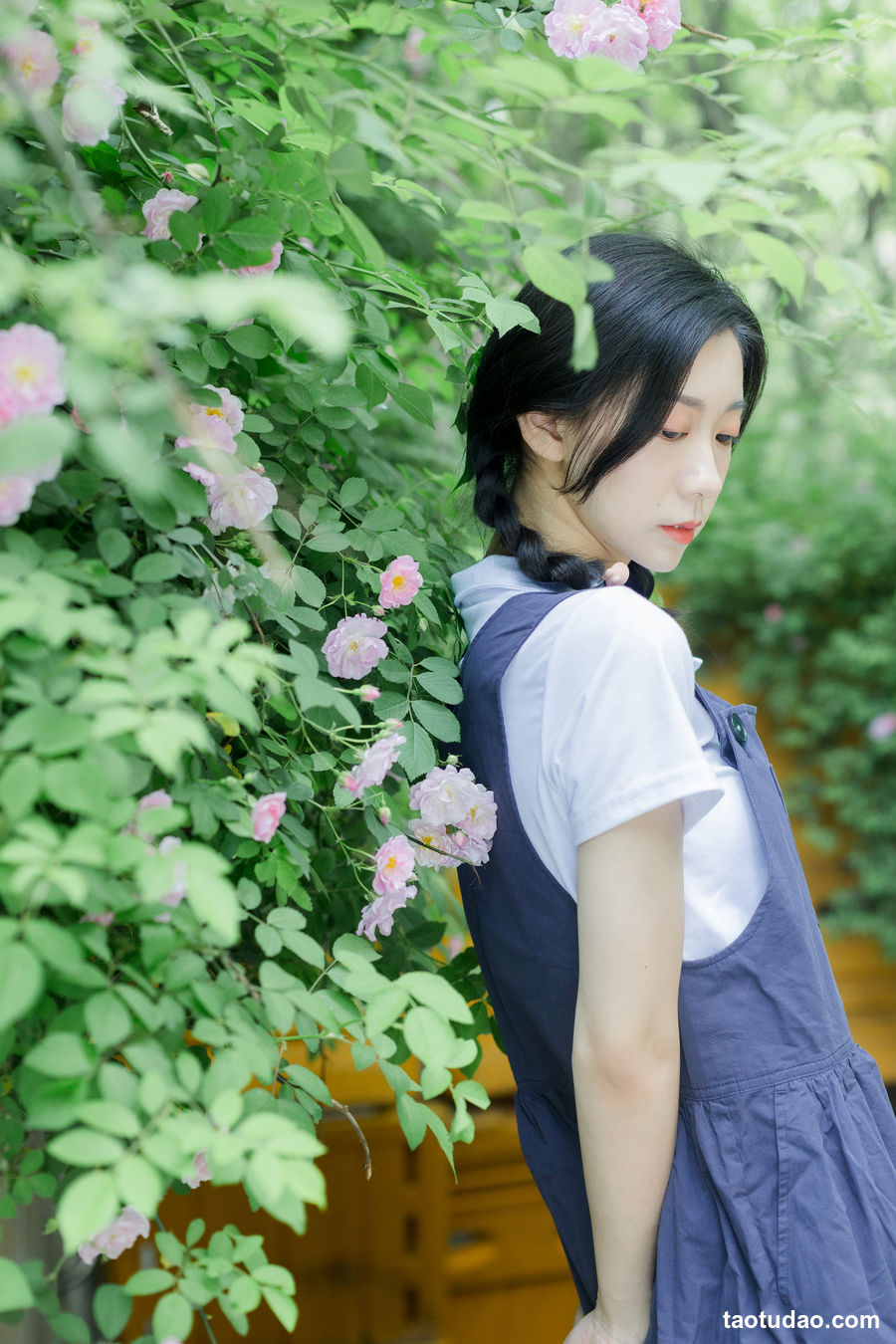 图片[2]-[YITUYU艺图语]2023.02.11 除了春天和蔷薇 饲猫少女-[25+1P／334MB]-绅士图