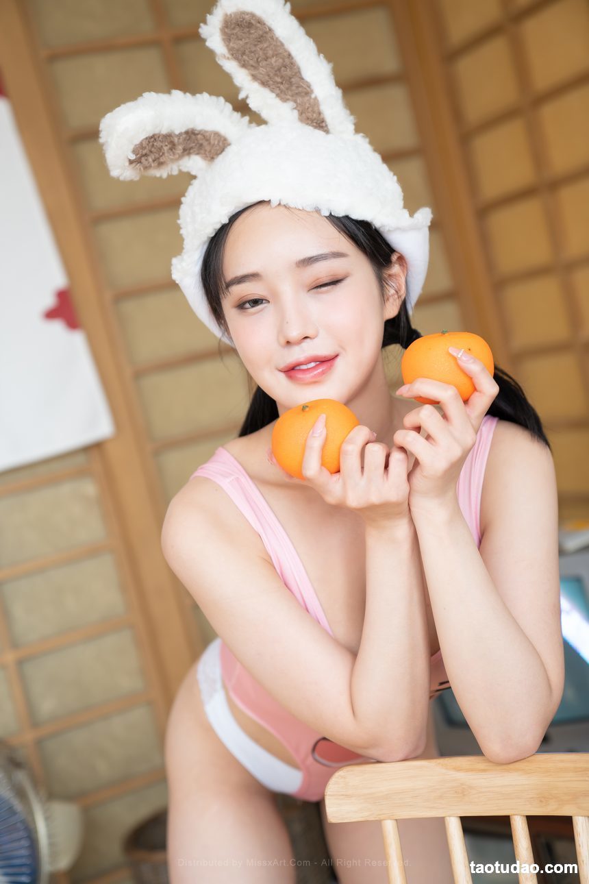 Leeae_Bunny & maid [61P-768MB]-艺库