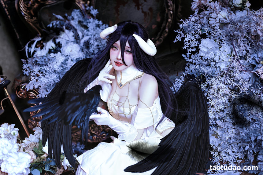 图片[3]-阿洛洛洛大魔王  雅儿贝德  [13P 118M]-绅士图