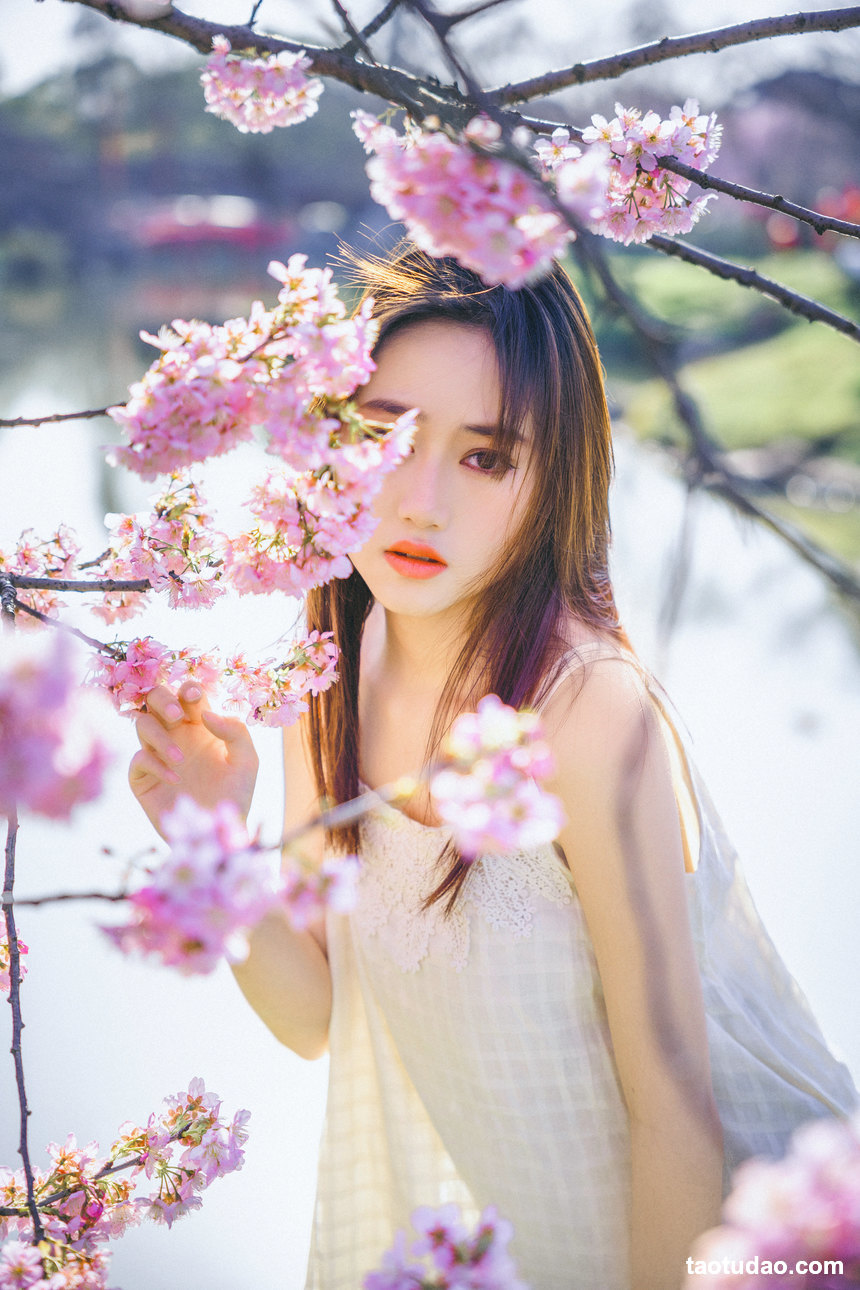 图片[2]-[YITUYU艺图语]2022.04.20 樱花物语 乐乐[21+1P／360MB]-绅士图