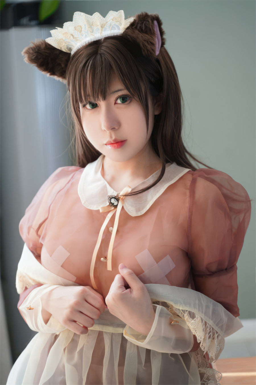 虎森森棕色透明女仆 [35P-229MB]-绅士图