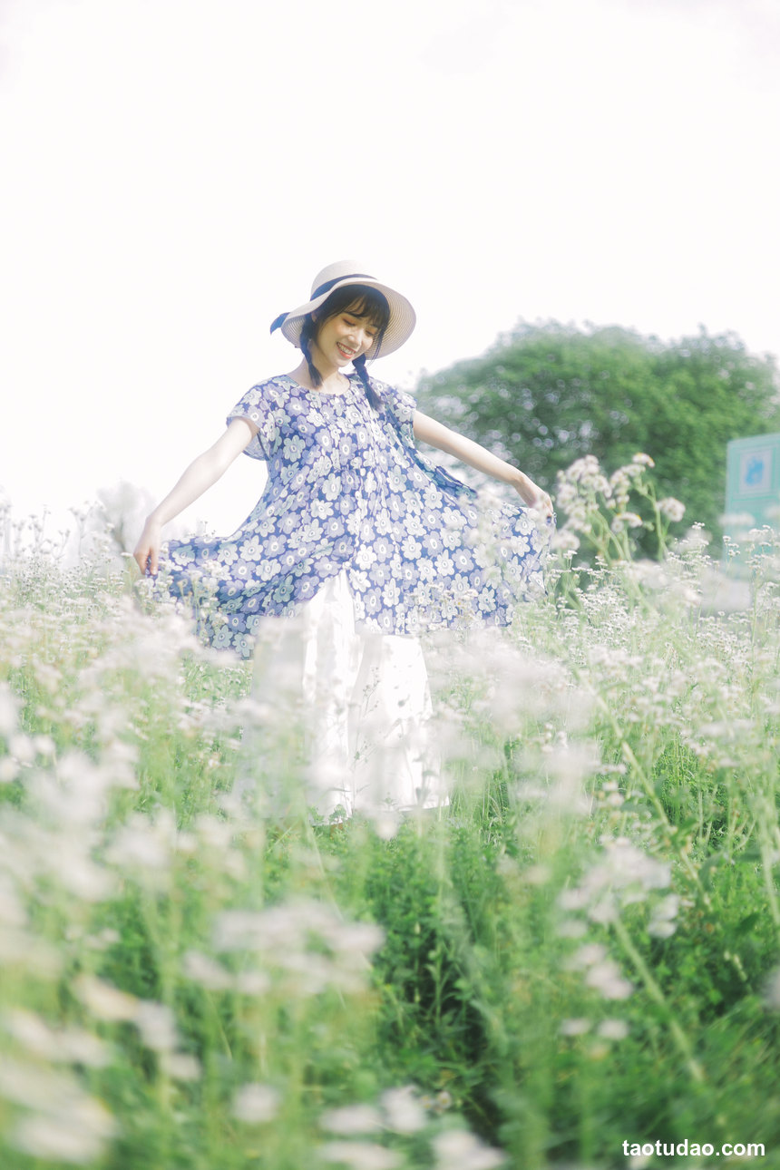 图片[3]-[YITUYU艺图语]2022.07.06 初夏的花海 一只阿梦崽[34+1P／309MB]-绅士图