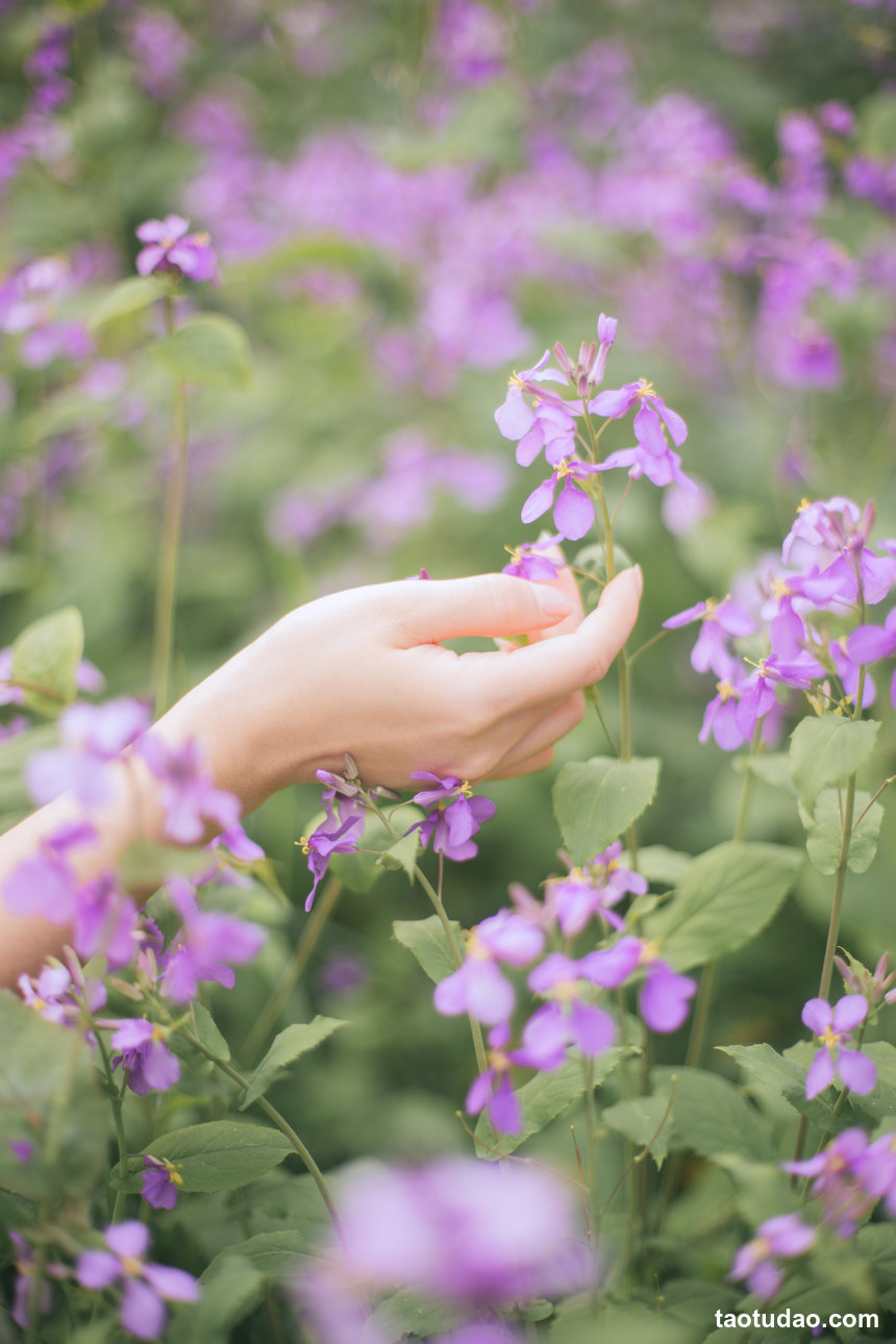 图片[2]-[YITUYU艺图语]2022.04.14 One day in spring 我是金儿呀[32+1P／196MB]-绅士图