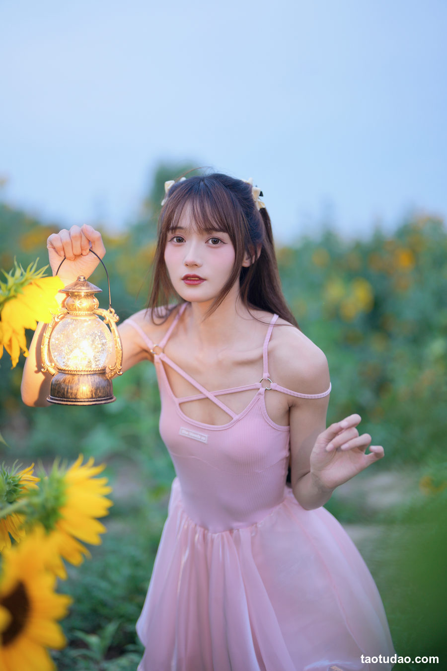 兔子Zzz不吃胡萝卜 -  蓝调向日葵少女 [28P-316MB]-绅士图