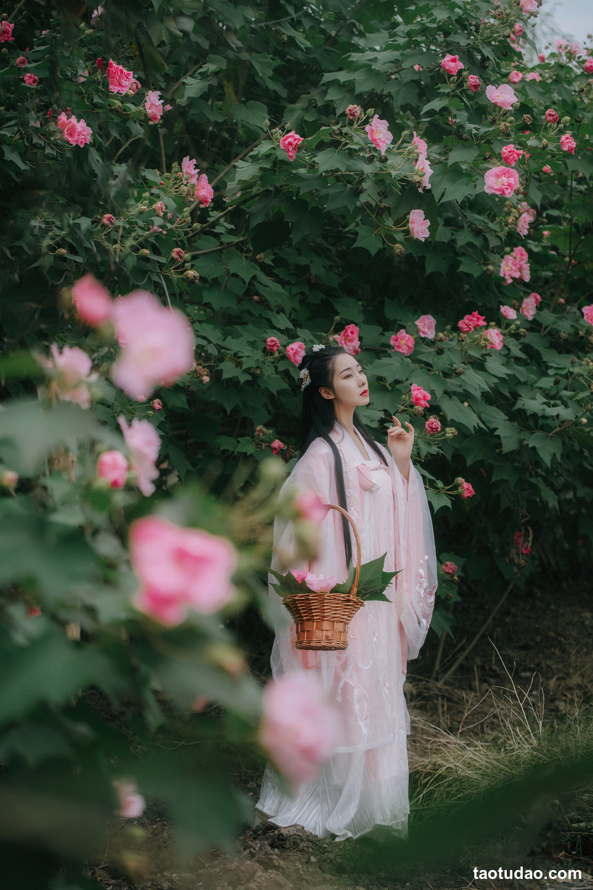 图片[2]-[YITUYU艺图语]2022.05.31 粉蝶 木景抒[21+1P／339MB]-绅士图