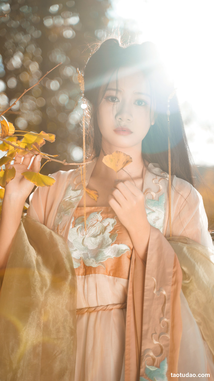 图片[2]-[YITUYU艺图语]2022.12.12 银杏树下 旺旺小小舒[38+1P／467MB]-绅士图