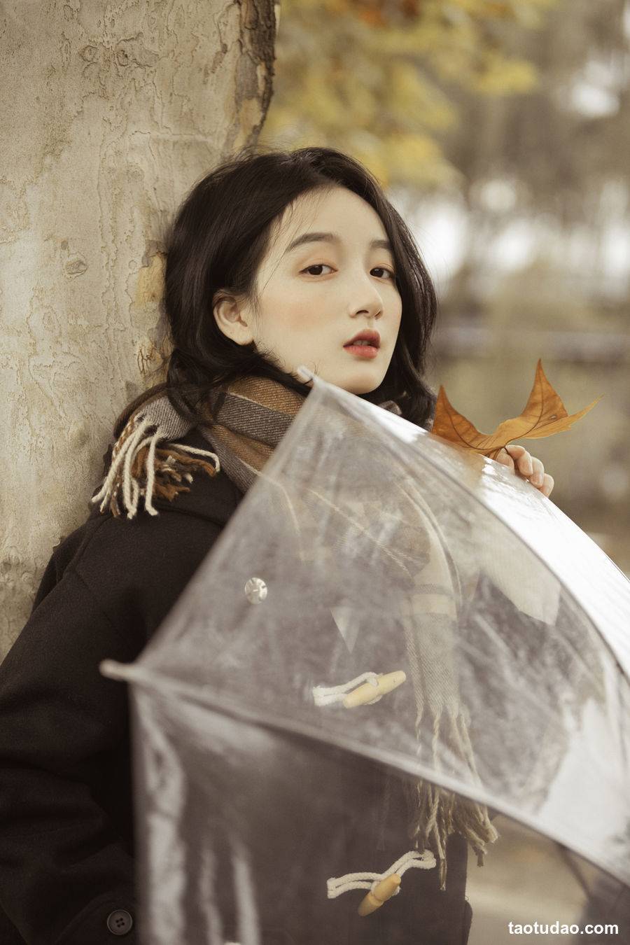 图片[3]-[YITUYU艺图语]2023.01.16 漫步梧桐林 肖绿叶[25+1P／320MB]-绅士图