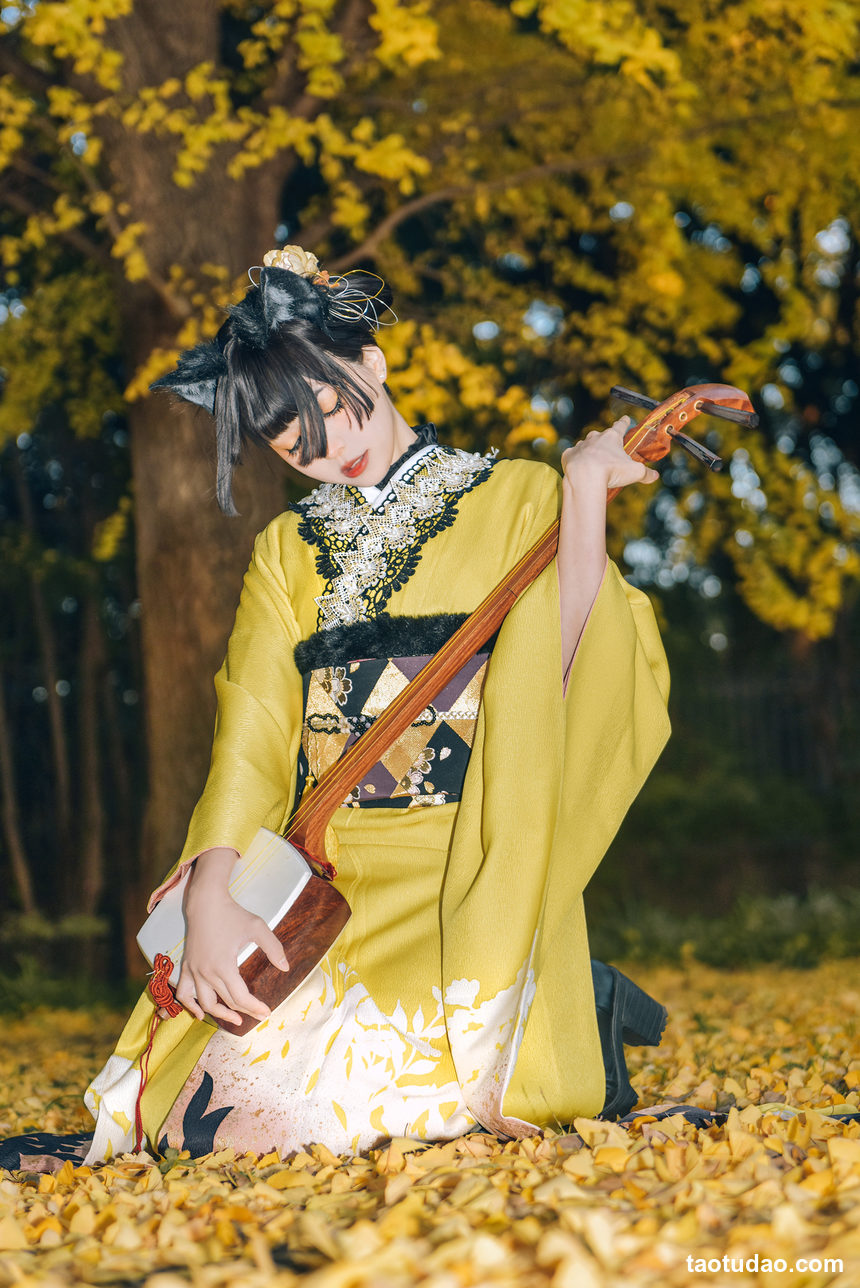 图片[3]-ElyEE子 –  2024年11月订阅 Ginkgo Black Cat銀杏黑貓 [24P+1V-108MB]-绅士图