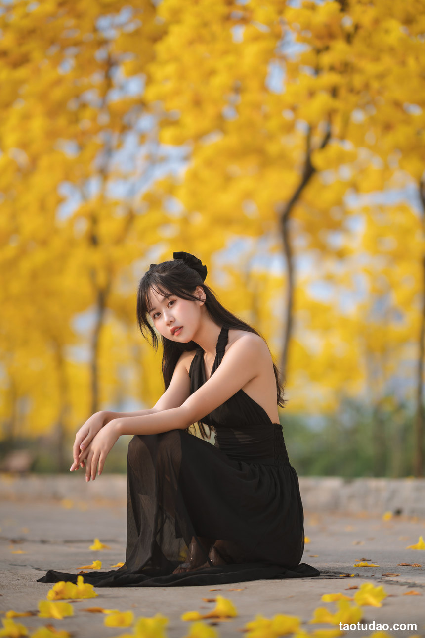 图片[4]-萌芽儿 – NO.25 秋有银杏 春有黄风铃 [24P-336MB]-绅士图