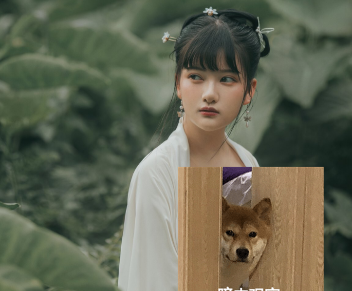 二进宫的节奏?小尤奈被判刑三月后,在外网的照片愈发不堪入目