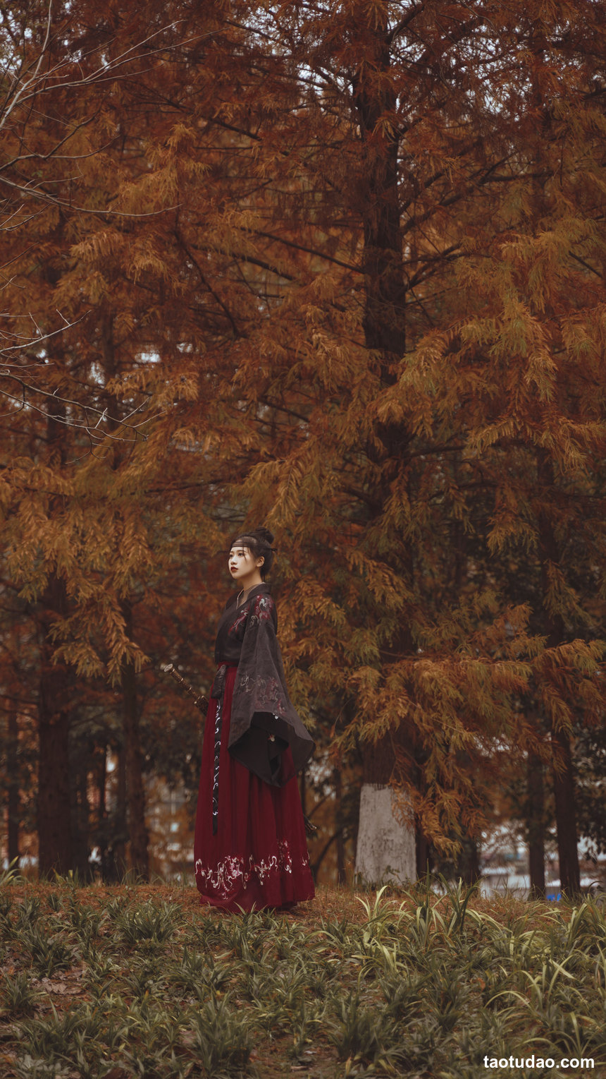 图片[2]-[YITUYU艺图语]2023.01.08 红杉林 旺旺小小舒[29+1P／324MB]-绅士图