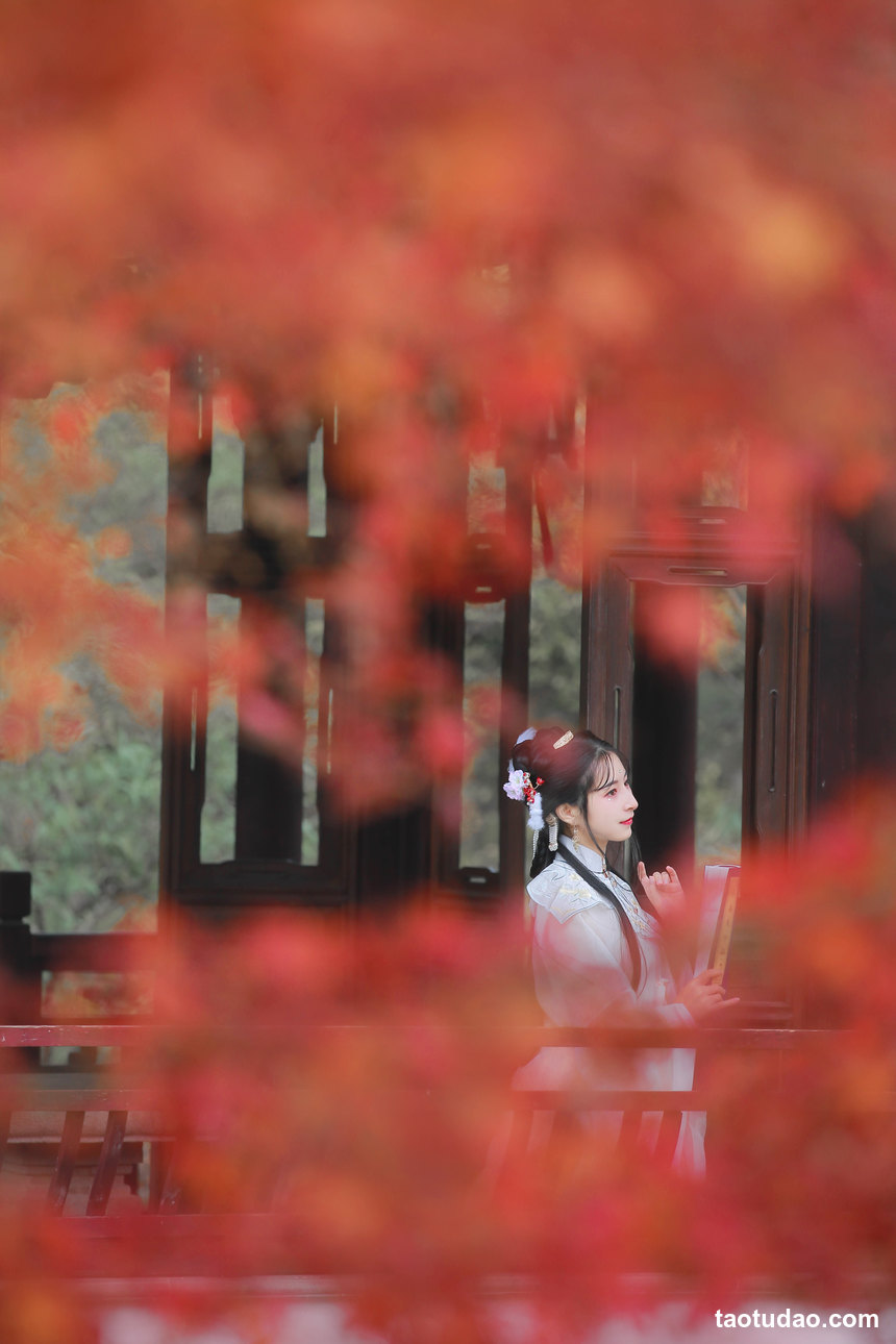 图片[2]-[YITUYU艺图语]2022.11.01 长相忆 知世[22+1P／103MB]-绅士图