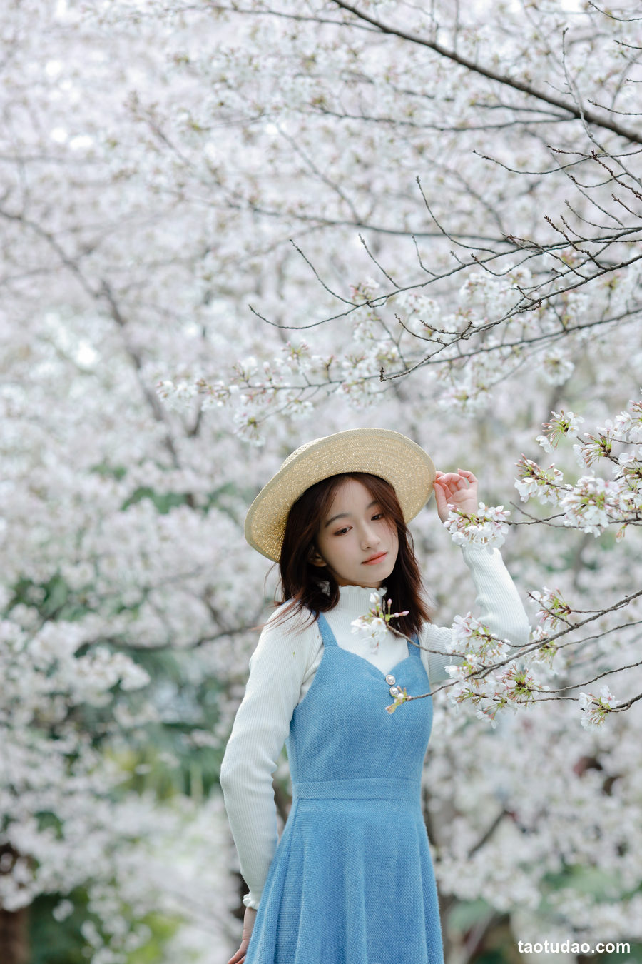 图片[4]-[YITUYU艺图语]2023.04.08 樱花物语 钰儿[31+1P／320MB]-绅士图