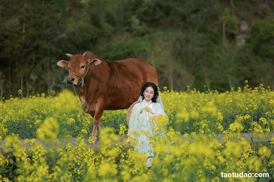 图片[3]-[YITUYU艺图语]2023.02.25 兰芝 锦超[21+1P／277MB]-绅士图