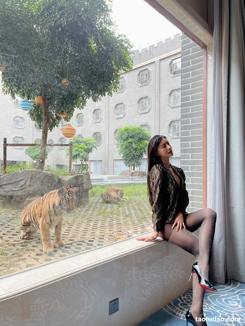 图片[3]-就是阿朱啊 –  与虎同行 [8P-31MB]-绅士图