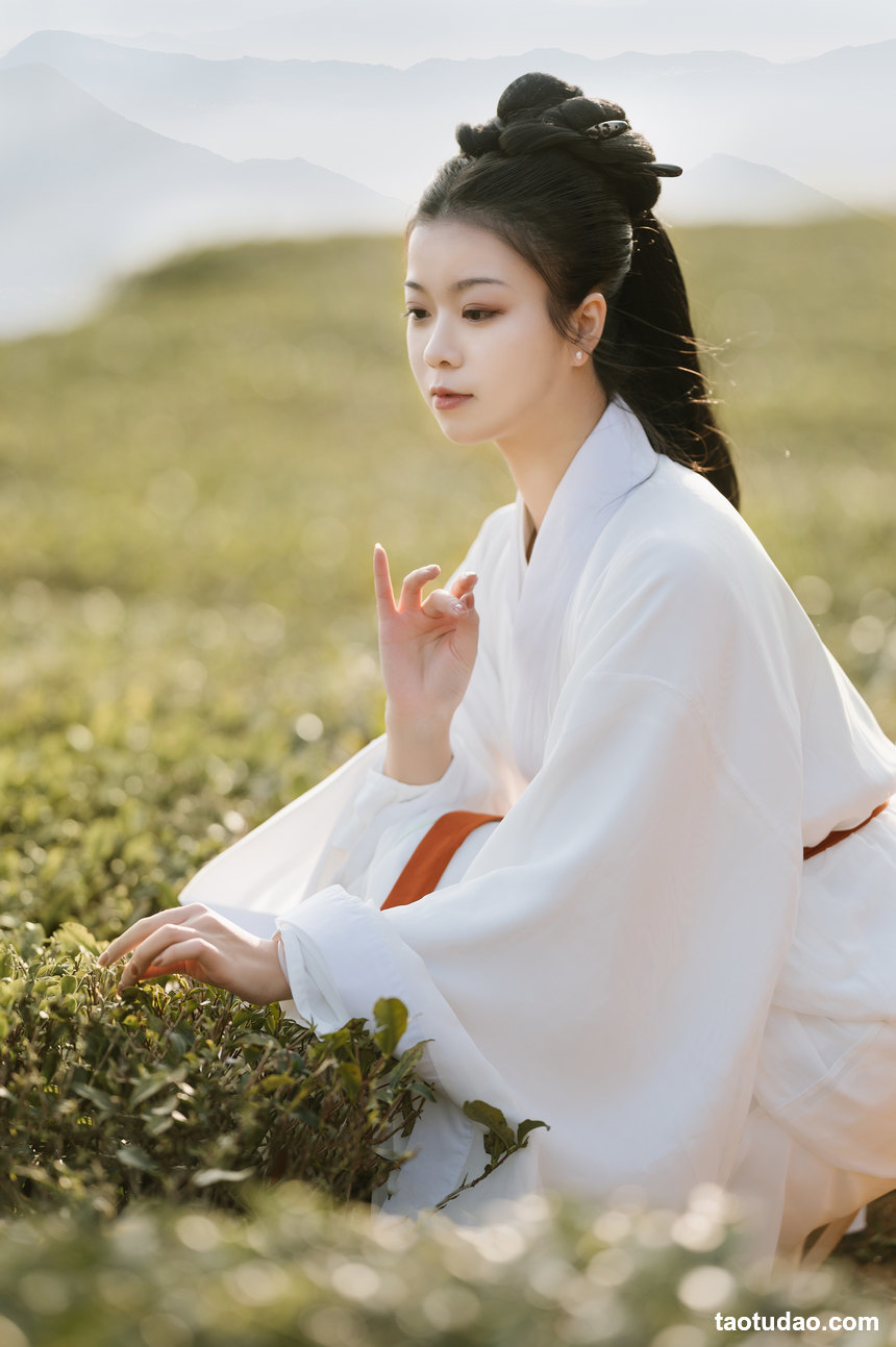 图片[2]-[YITUYU艺图语]2022.03.08 采茶 藏茗[30+1P／266MB]-绅士图