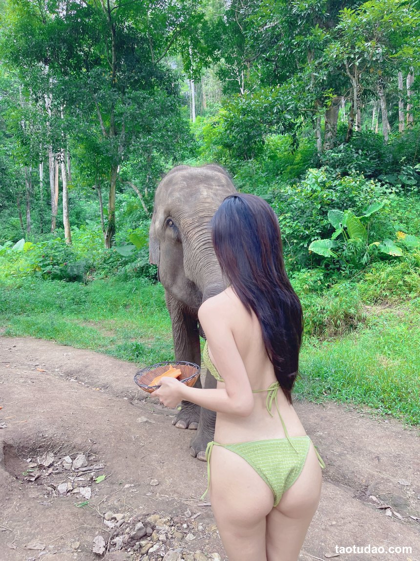 图片[3]-就是阿朱啊 –  人与自然 [16P-205MB]-绅士图