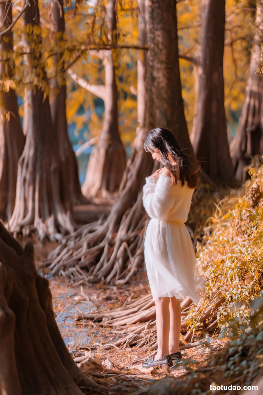 图片[3]-[YITUYU艺图语]2022.05.07 致一支秋曲 思涼poi[36+1P／715MB]-绅士图