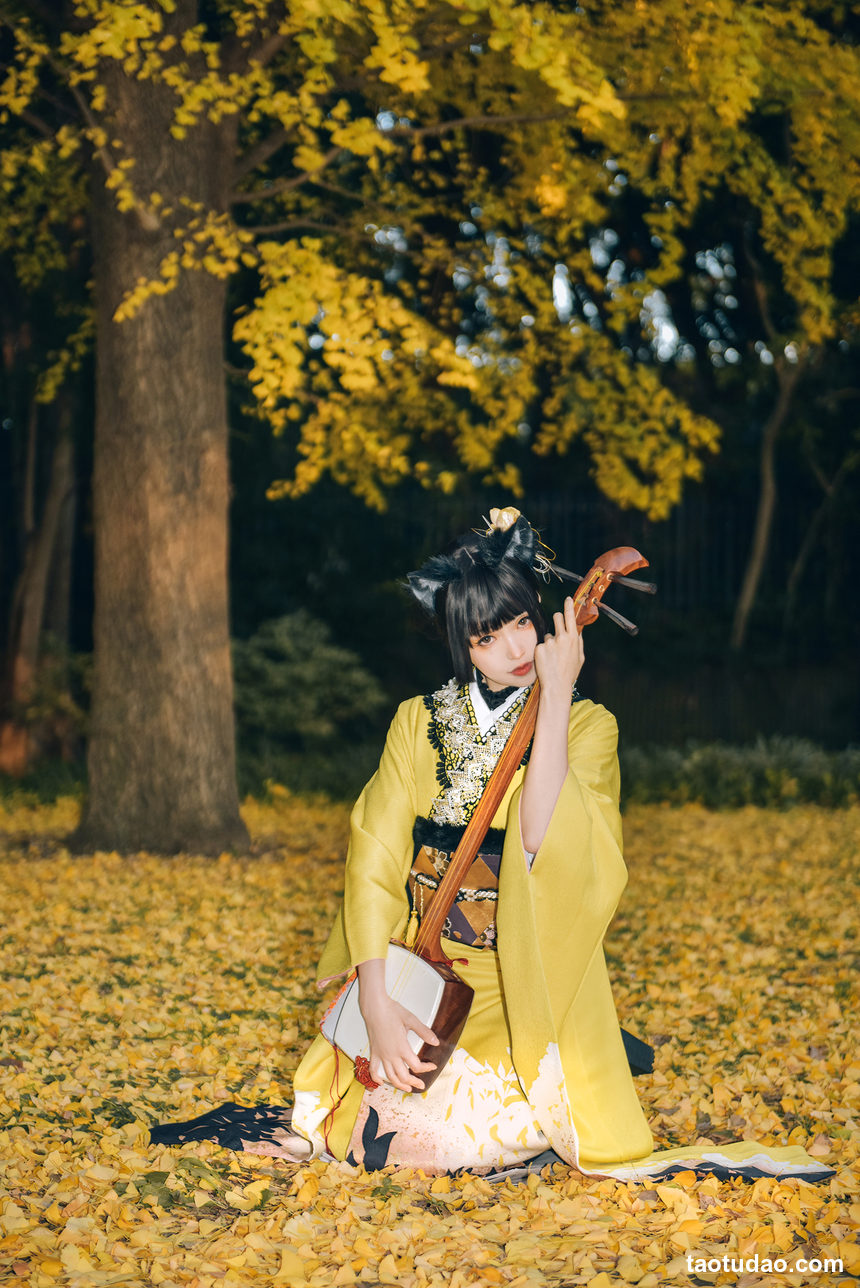 图片[2]-ElyEE子 –  2024年11月订阅 Ginkgo Black Cat銀杏黑貓 [24P+1V-108MB]-绅士图