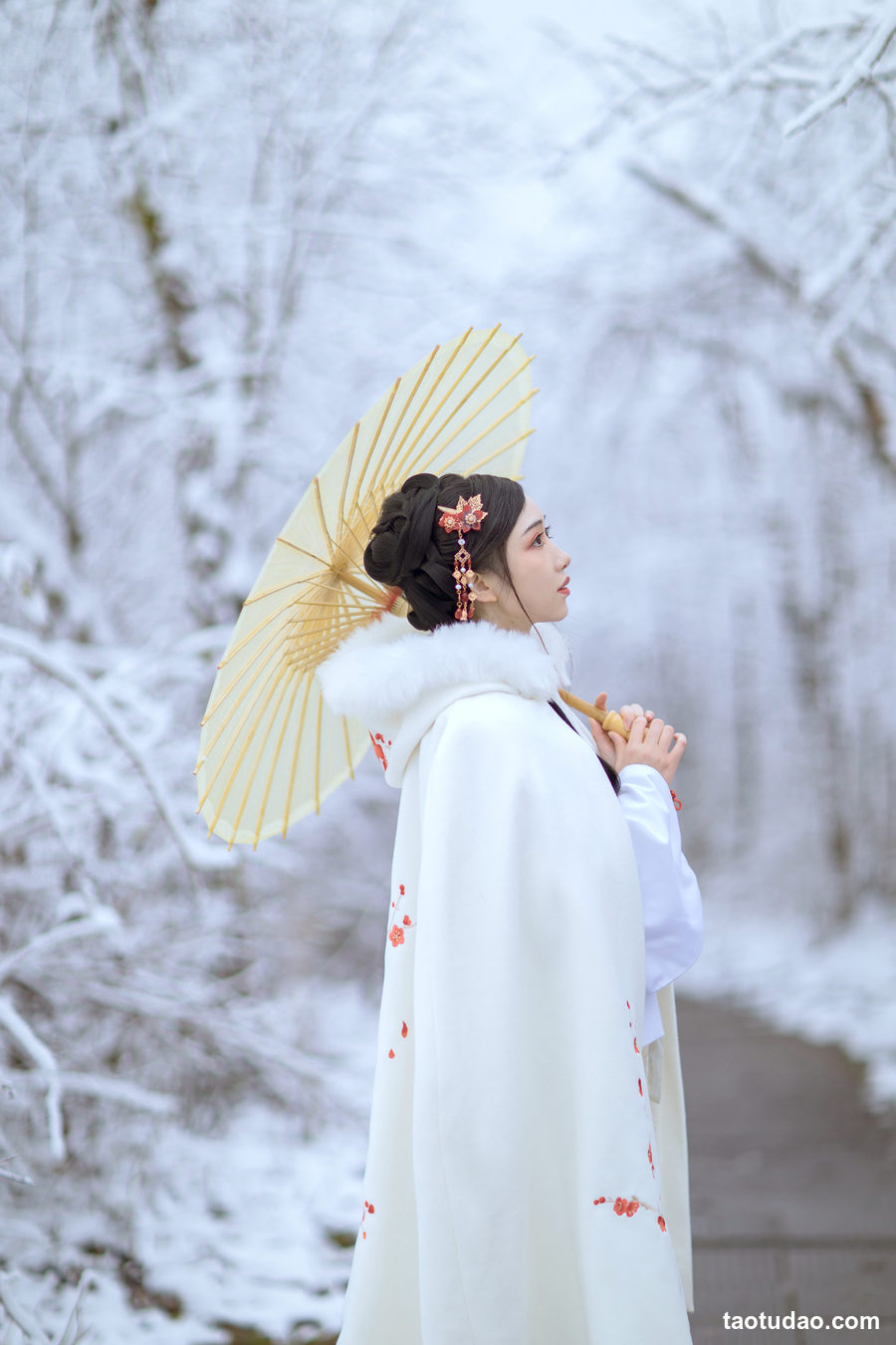 图片[3]-[YITUYU艺图语]2023.04.19 梅花香自苦寒来 小风[24+1P／160MB]-绅士图