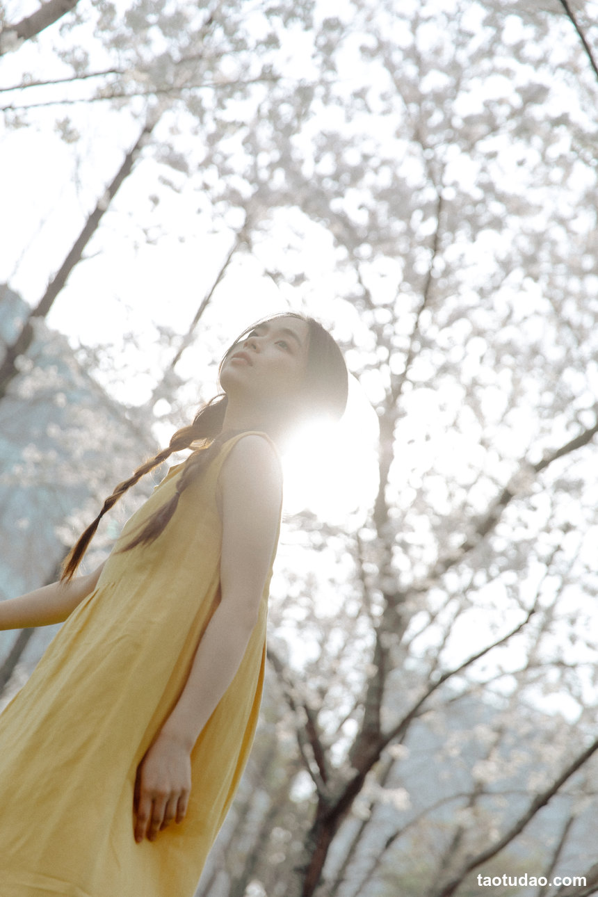 图片[3]-[YITUYU艺图语]2022.05.29 遇见初樱 九麻MAA[26+1P／296MB]-绅士图