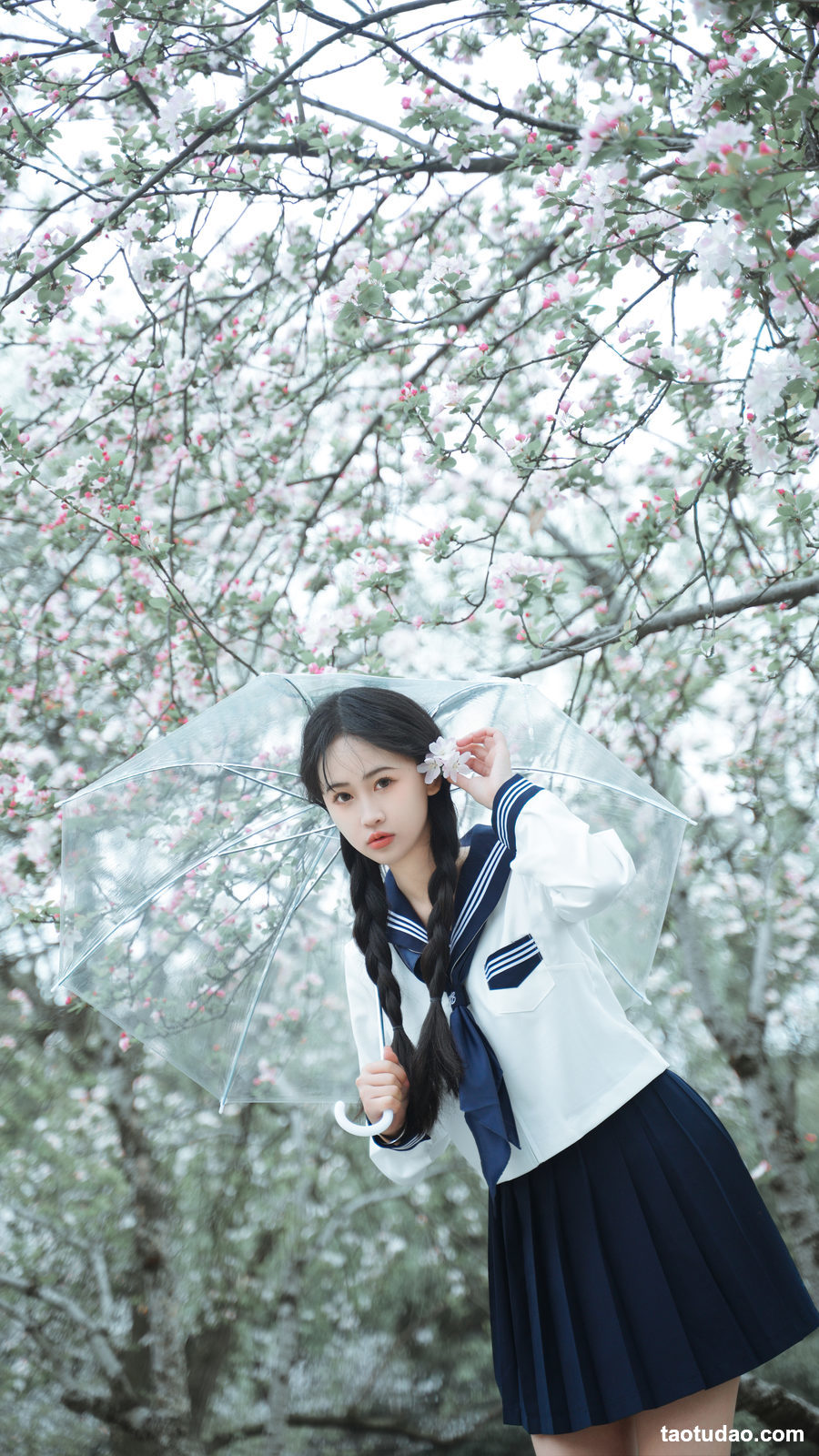 图片[2]-[YITUYU艺图语]2023.03.21 樱花 岁岁草莓冰[26+1P／365MB]-绅士图