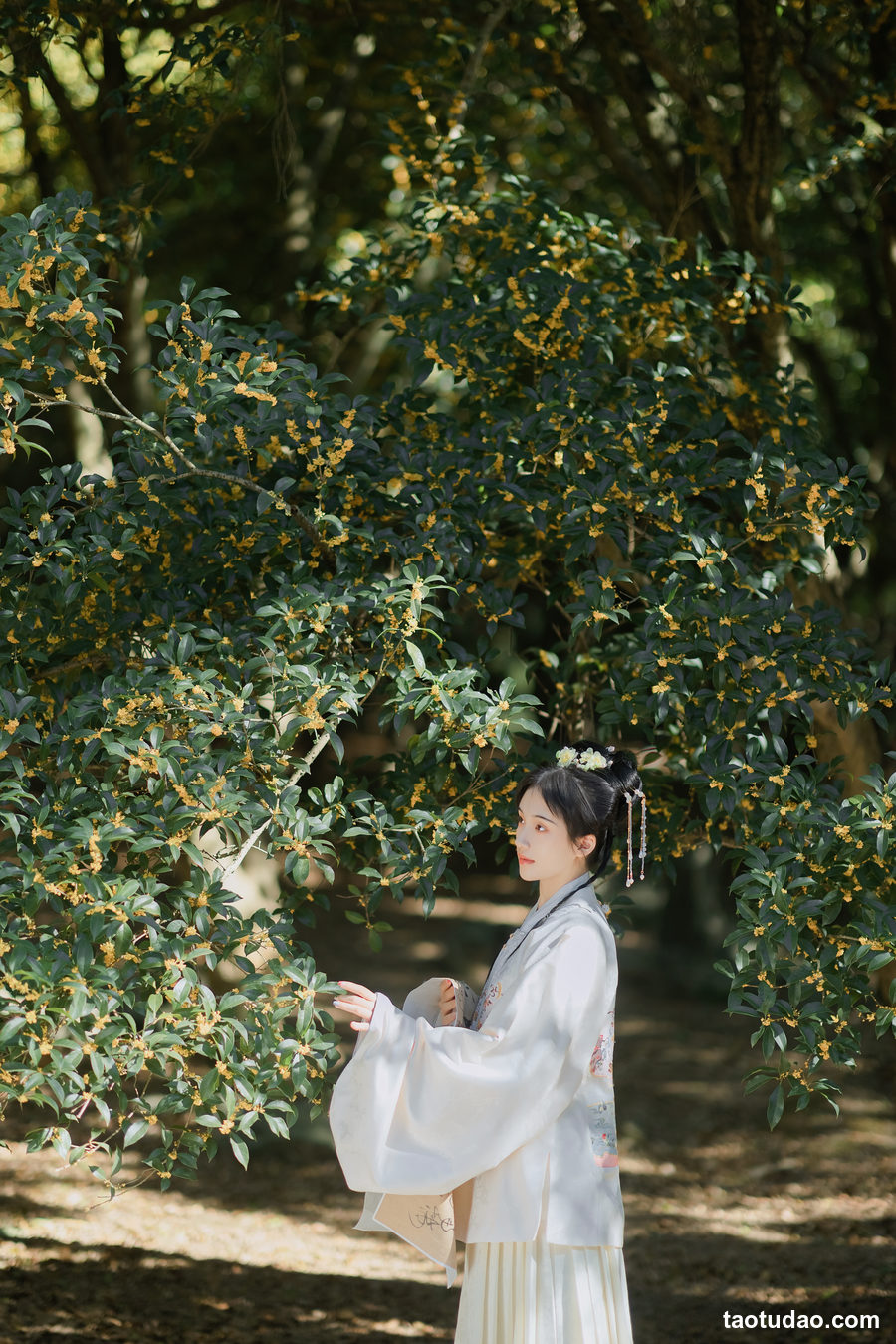 图片[4]-[YITUYU艺图语]2023.02.12 折桂令 方莛玉[32+1P／313MB]-绅士图