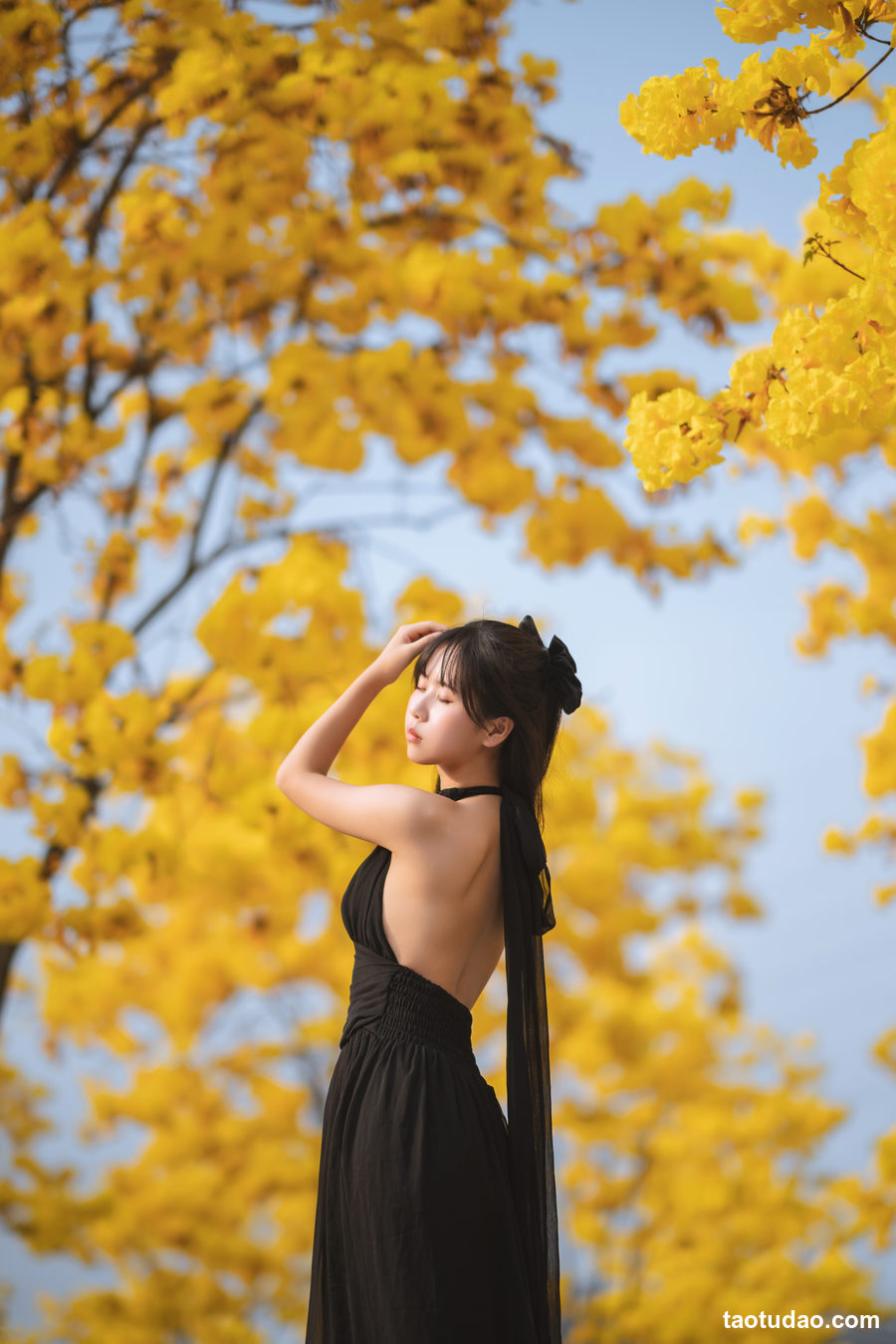 图片[3]-[YITUYU艺图语]2023.02.14 秋有银杏 春有黄风铃 萌芽儿o0[24+1P／342MB]-绅士图