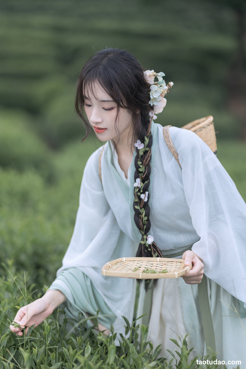 图片[3]-[YITUYU艺图语]2022.11.10 采茶纪 方莛玉[53+1P／473MB]-绅士图