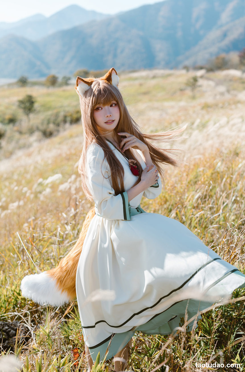 图片[3]-ElyEE子 – 2024年12月订阅 -Breeze狼與微風 [34P+3V-207MB]-绅士图