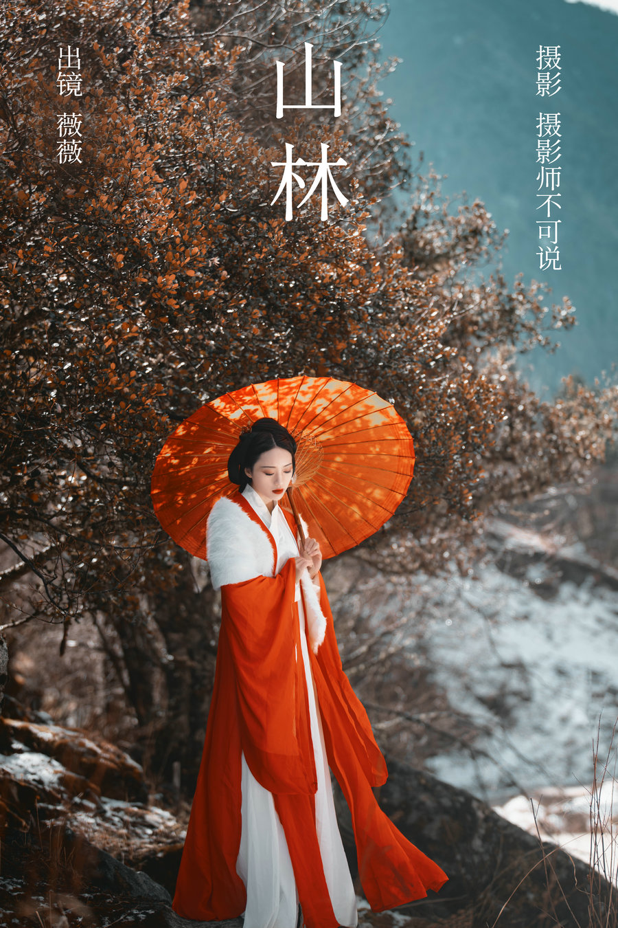 / YITUYU /艺图语 2023.05.03 山林 薇薇 / 26P-490MB / 机构-艺库
