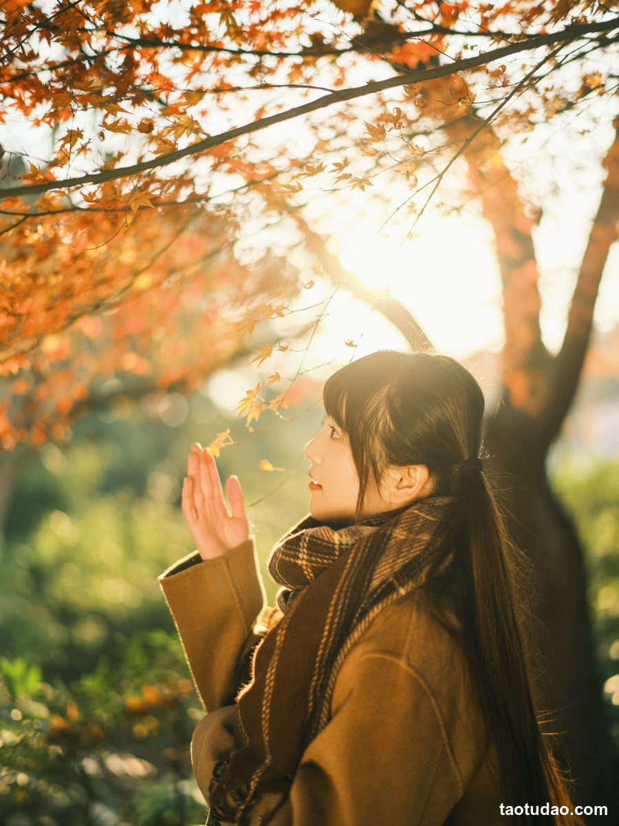 图片[3]-[YITUYU艺图语]2023.02.17 枫 宵宵喵[33+1P／472MB]-绅士图