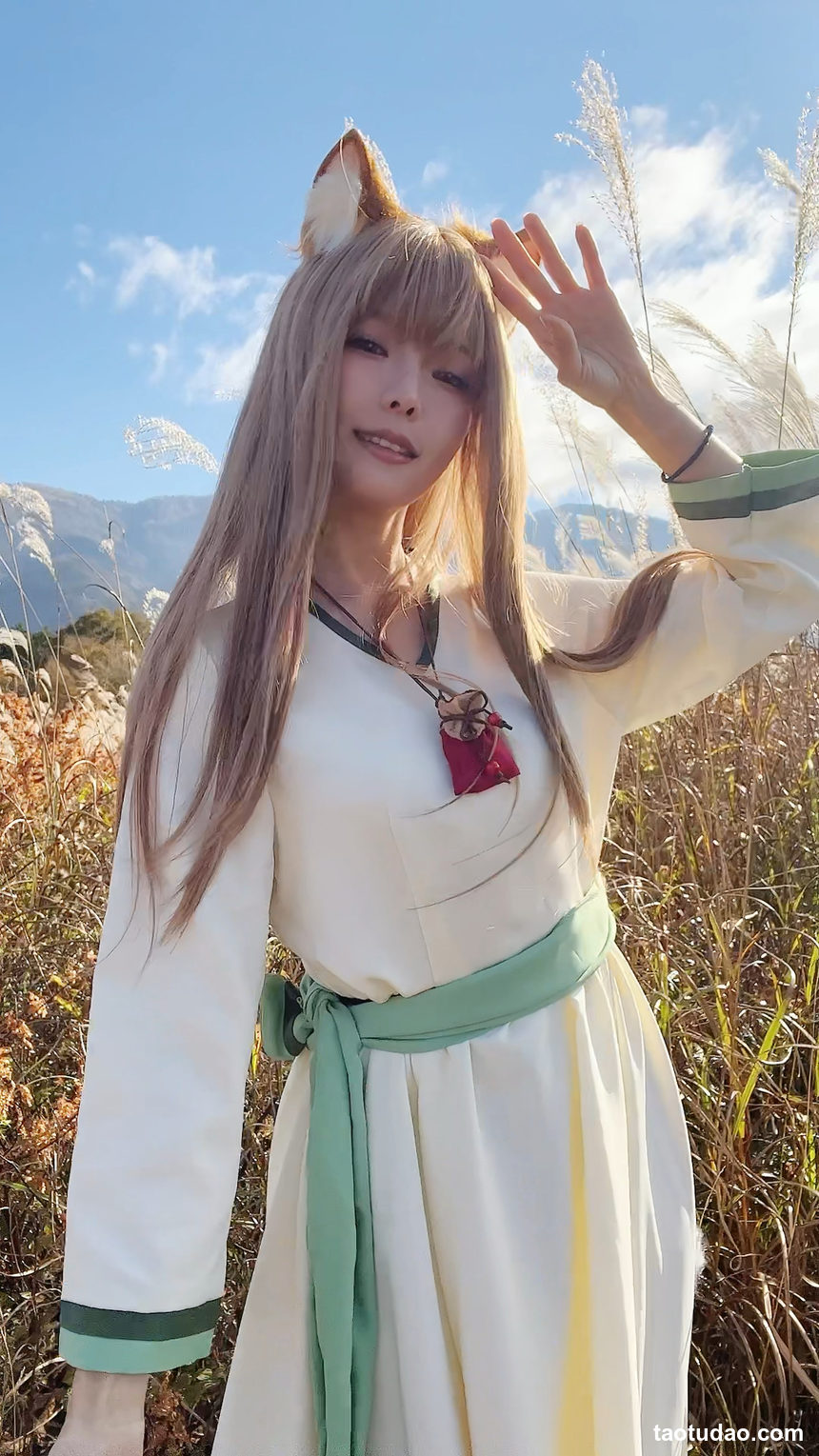 图片[2]-ElyEE子 – 2024年12月订阅 -Breeze狼與微風 [34P+3V-207MB]-绅士图