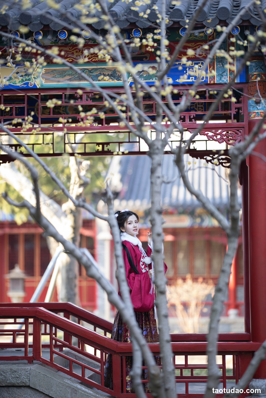 图片[4]-[YITUYU艺图语]2022.12.06 汉服少女 Dtifa丁小妮[35+1P／1.13G]-绅士图