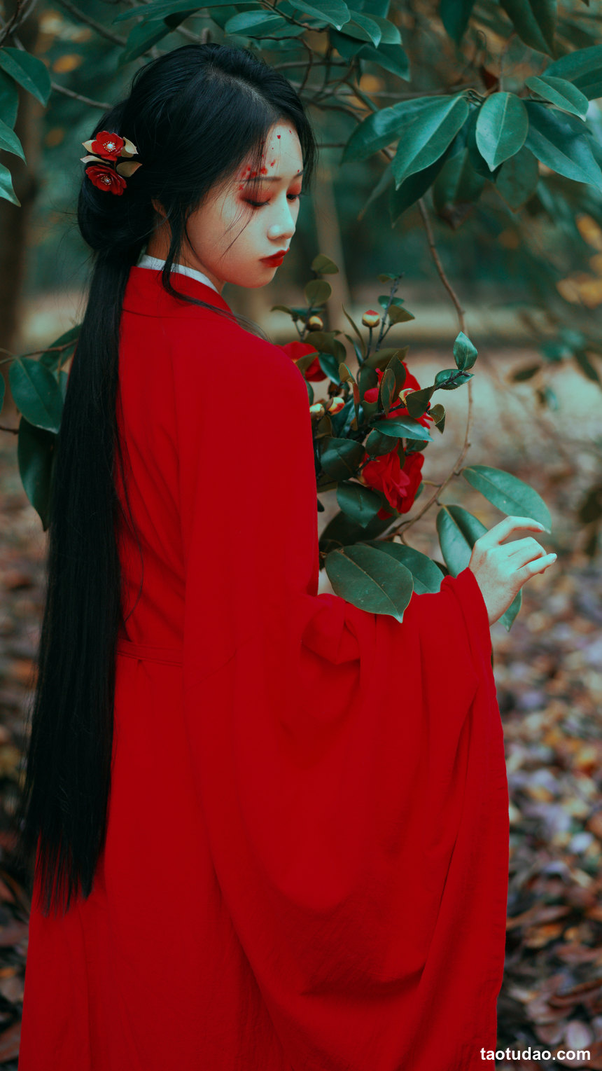 图片[3]-[YITUYU艺图语]2022.12.15 山茶花 旺旺小小舒[21+1P／344MB]-绅士图