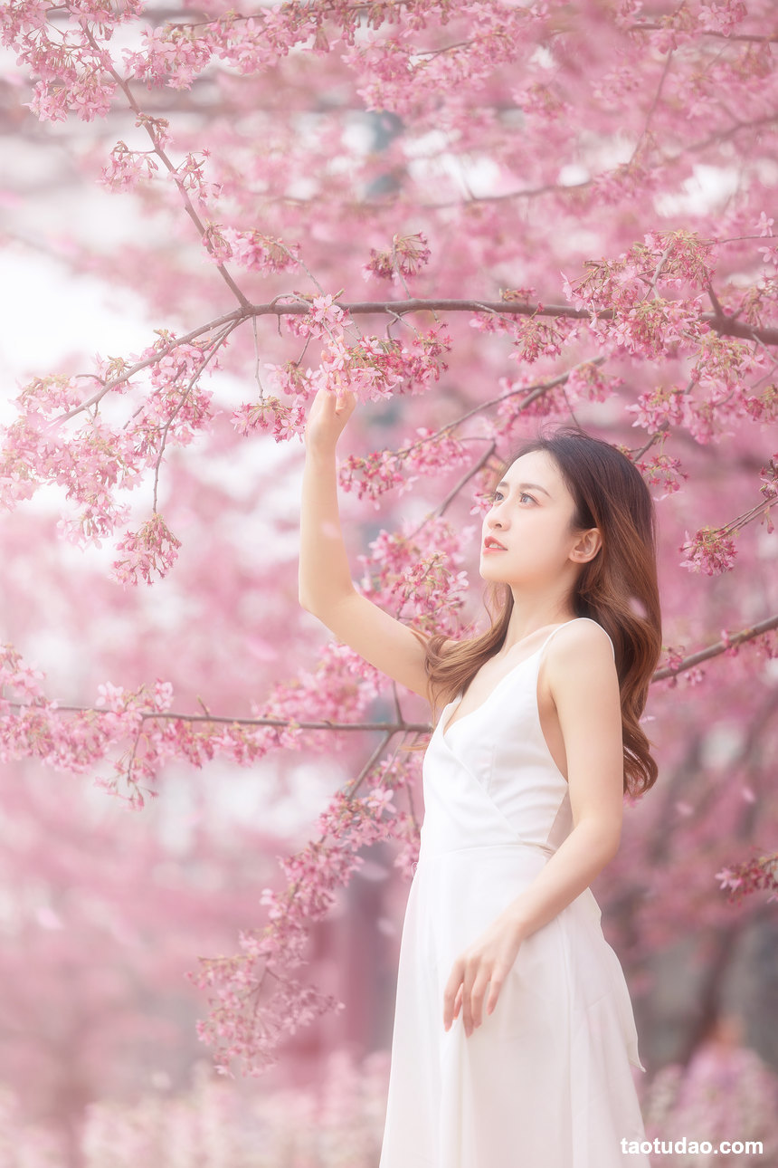 图片[2]-[YITUYU艺图语]2022.05.06 樱花 子依[28+1P／384MB]-绅士图